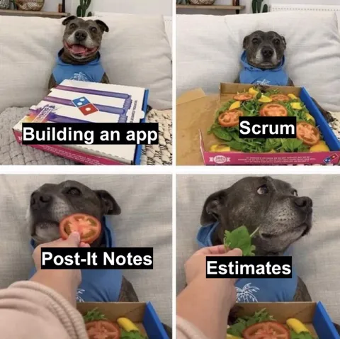 Dog Learns Agile Development