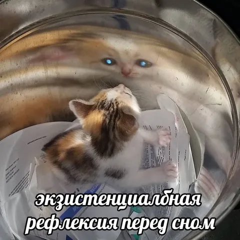 Экзистенциальная рефлексия перед сном