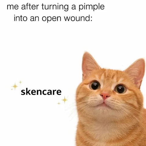 Cat After Making a Wound