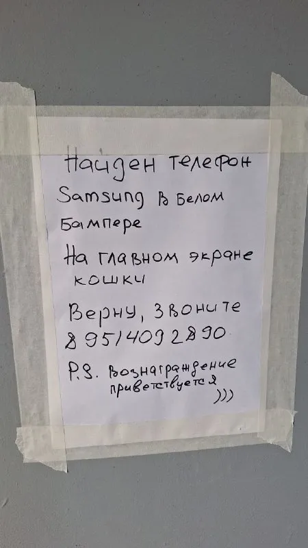 Телефон с кошками на экране