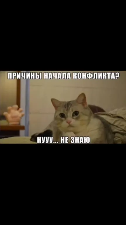 Причины начала конфликта