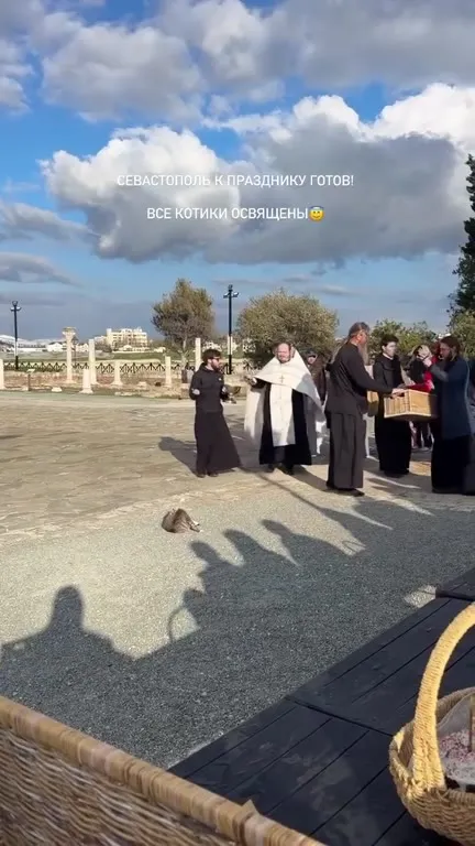 Все котики освящены