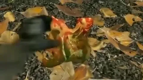 Soldier Finds Cossaks Vodka