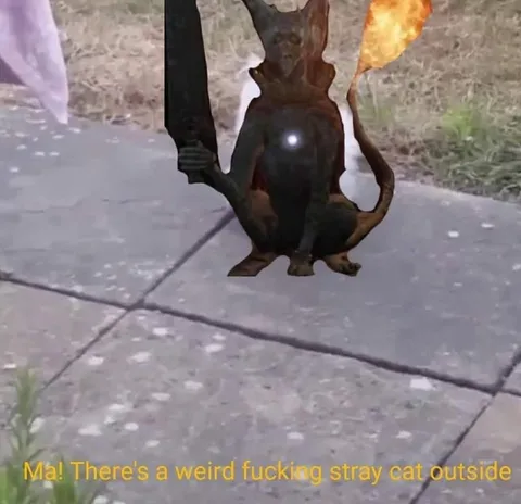 Weird Fucking Stray Cat