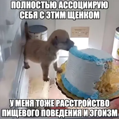 Щенок и расстройство пищевого поведения