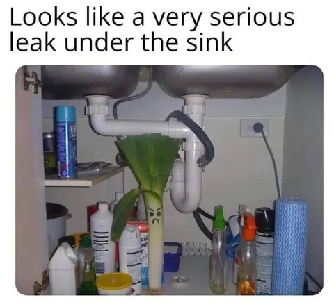 Serious Leak Under the Sink
