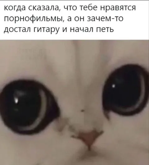 Кот, который не ожидал такого