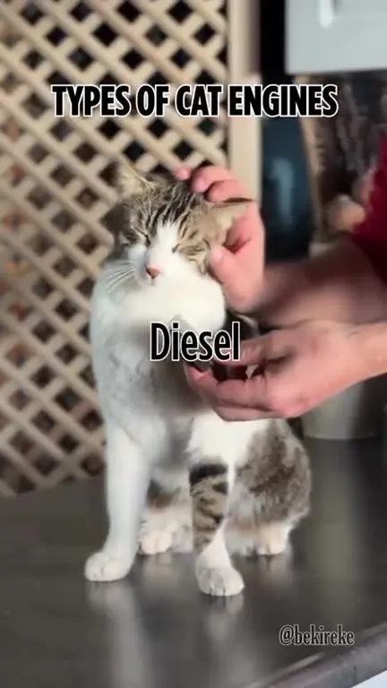 Types of Cat Engines