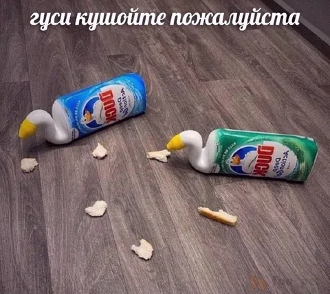 Гуси кушают крошки