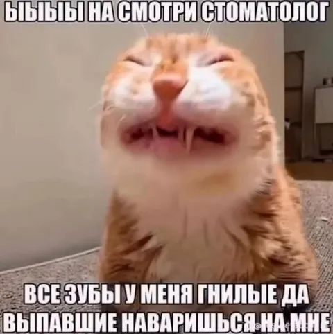 Кот у стоматолога