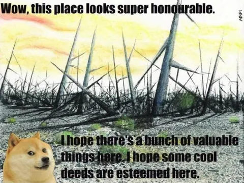 Doge Finds a Valuable Place