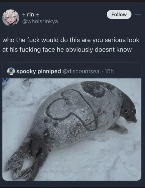 Oblivious Seal in the Snow