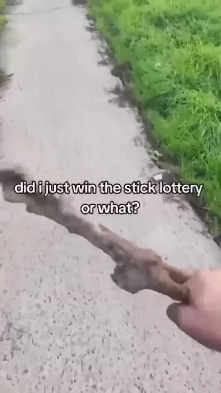 Did I Win the Stick Lottery?