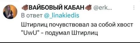 Штирлиц почувствовал хвост