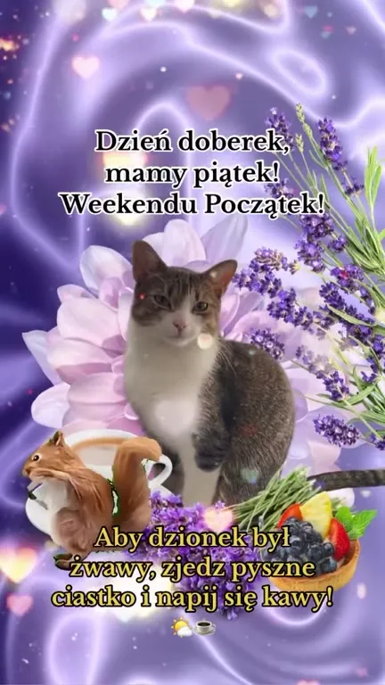 Piątkowe życzenia z kotem