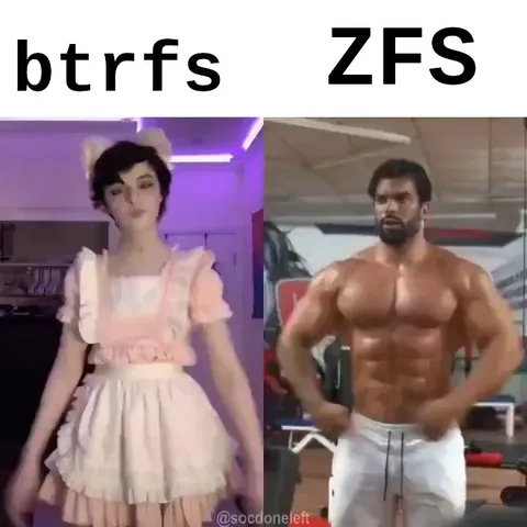 Btrfs Versus ZFS