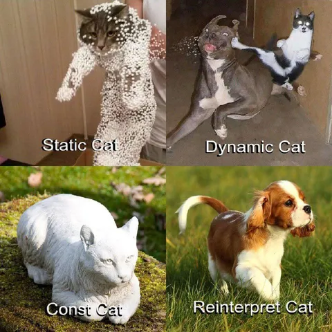 Static Dynamic Consi Reinterpreter Cats