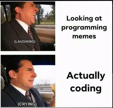 Programming Memes Versus Coding
