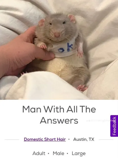 Man With All The Answers