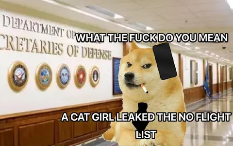 Doge Demands the No-Flight List