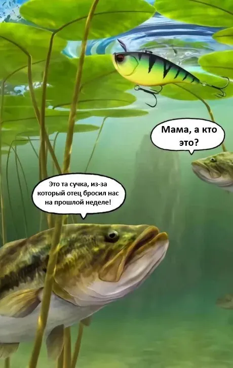 Рыбы обсуждают блесну