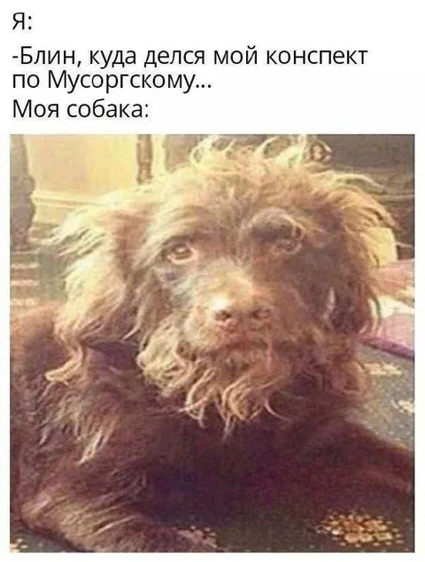 Собака потеряла конспект