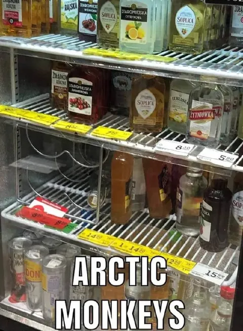 Arctic Monkeys Liquor Aisle