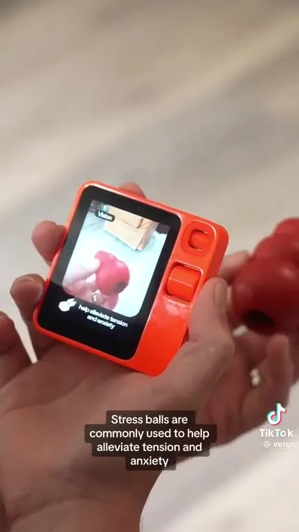 AI Thinks a Tomato Is a Pepper