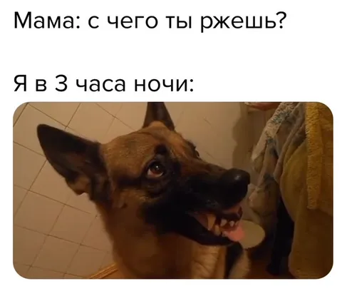 Я в 3 часа ночи смеюсь