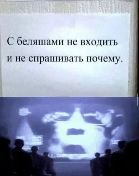 С беляшами не входить