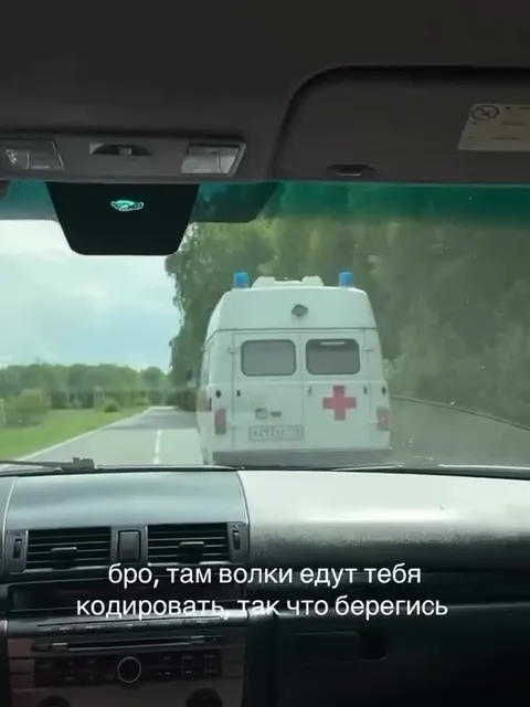 Волки едут тебя кодировать