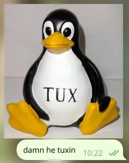 Damn He Tuxin