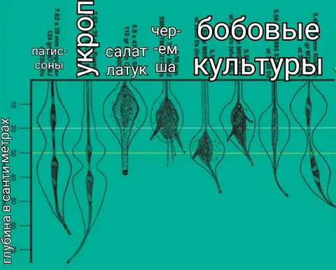 Глубина посадки культур