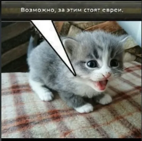 Возможно, за этим стоят евреи