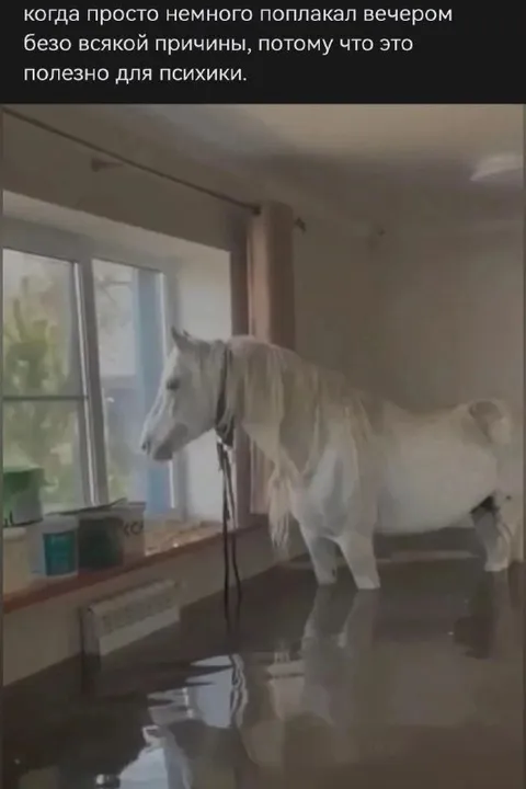 Немного поплакал вечером