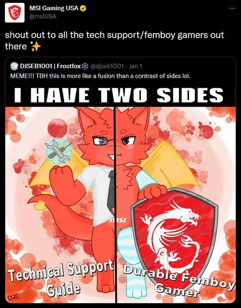 I Have Two Sides Femboy Gamer