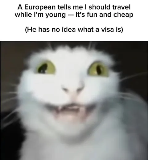 Visa Shock Cat
