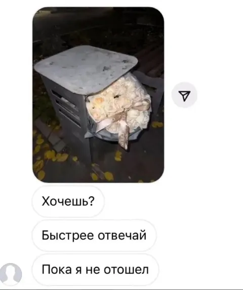 Еда в мусорке