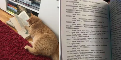 Кот учится по книге