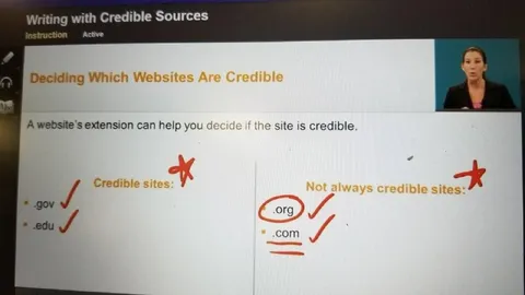 Credible Websites Lesson Gone Wrong