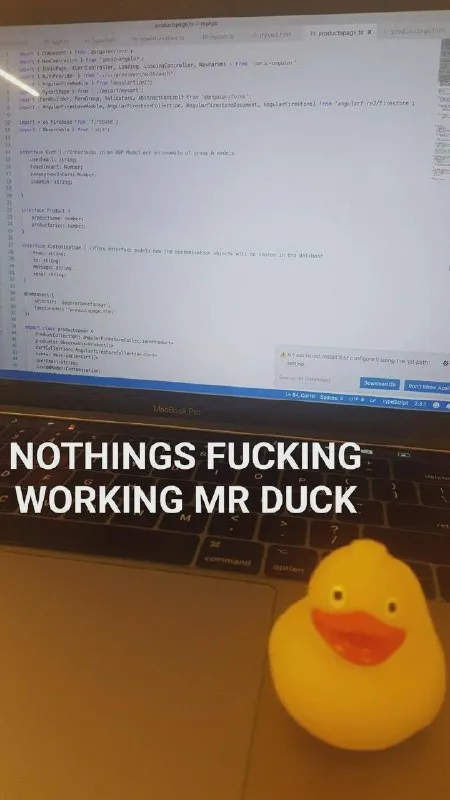 Nothing Fucking Working Mr Duck
