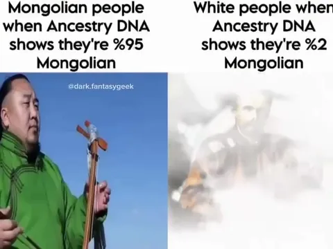 Mongolian DNA Surprise