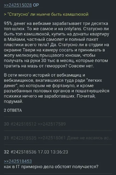 Статус вебкамщицы и работа в IT