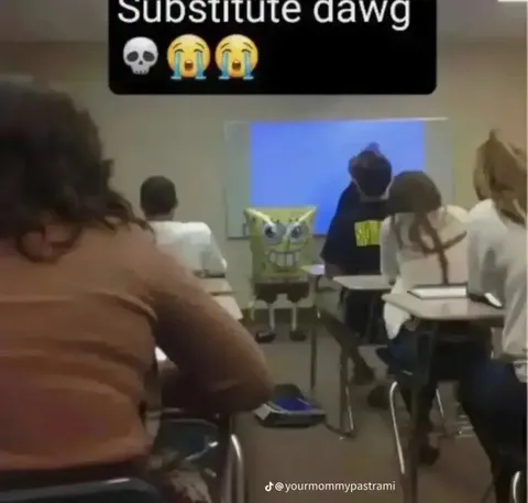Substitute Dawg in Class