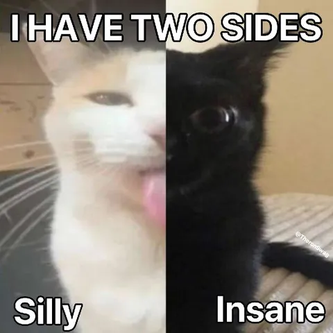 I Have Two Sides Cat