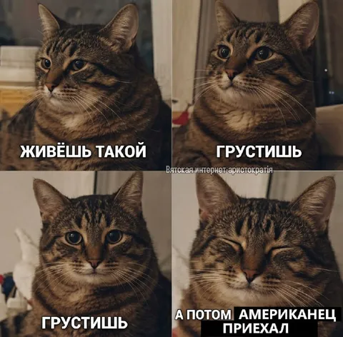 А потом американец приехал