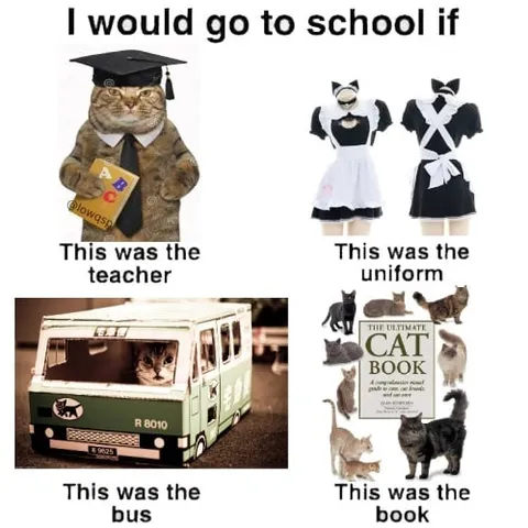 I Would Go to School If Cats Taught