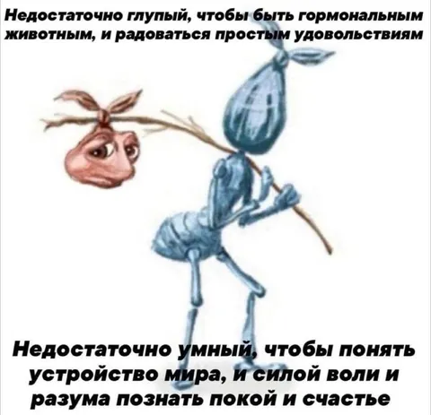Недостаточно умный и глупый