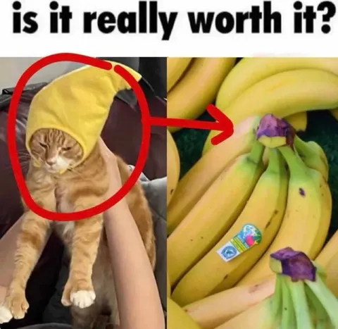 Is It Really Worth It?