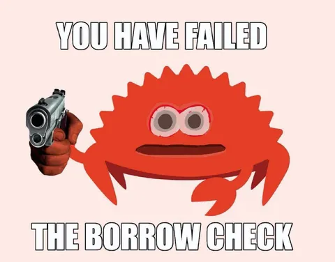 You Have Failed the Borrow Check